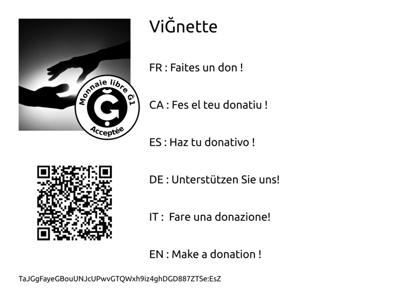 Vignette example: Make a donation to vignette !